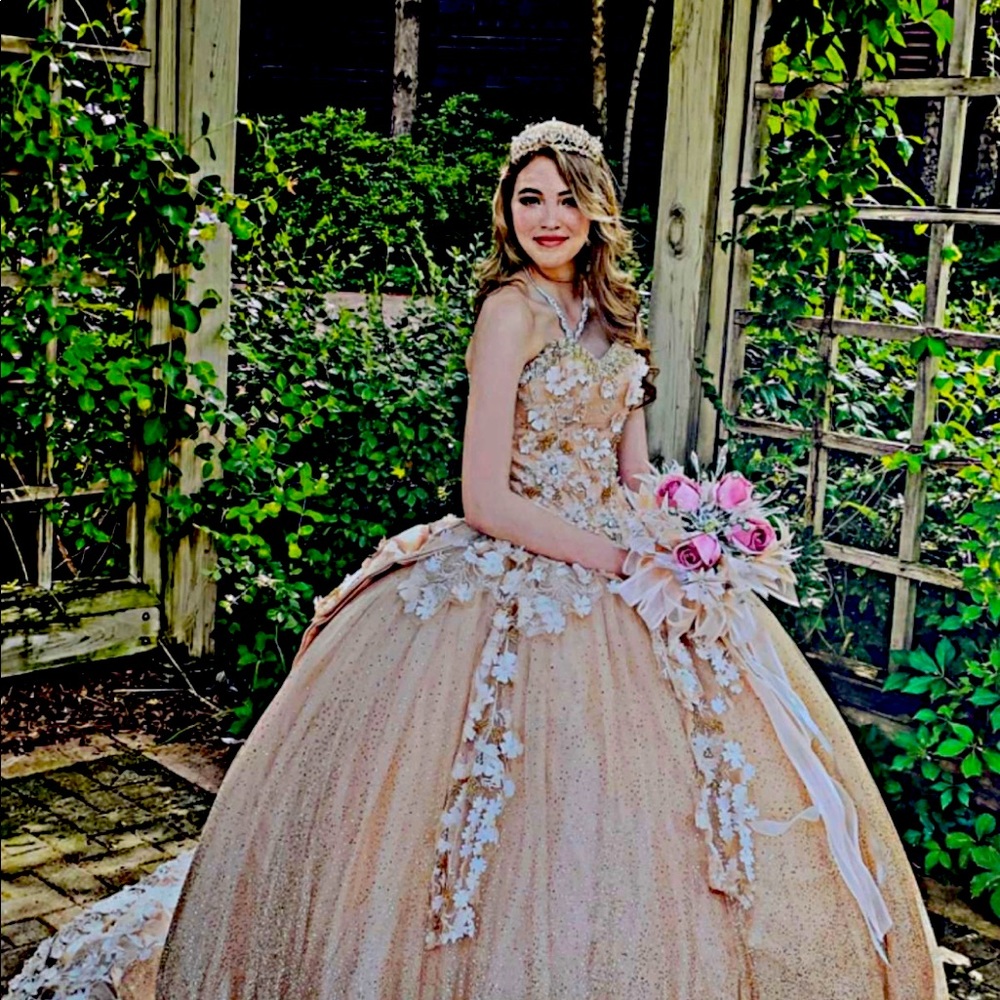 Quinceneara dress! Used once for mine! From venue in Paris! Gorgeous dress!